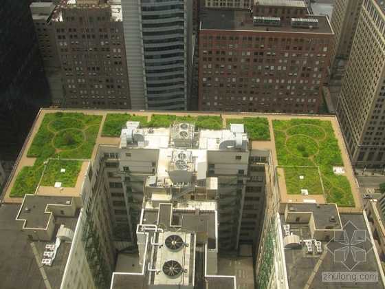 芝加哥大会堂屋顶绿化