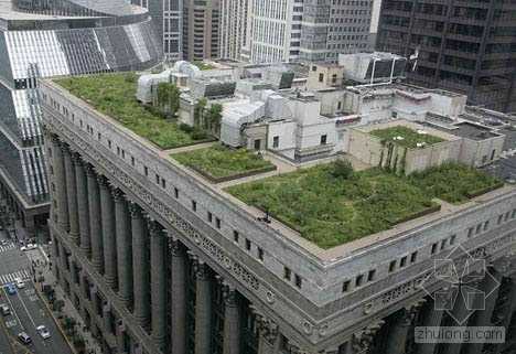 芝加哥大会堂屋顶绿化